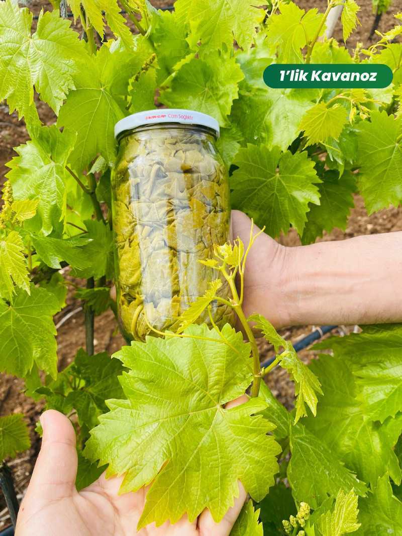 Kuru Basım Asma Yaprak 1 lik Kavanoz